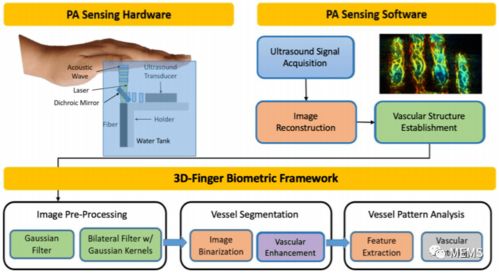 光聲層析成像技術實現手指靜脈3d成像,增強生物識別安全性